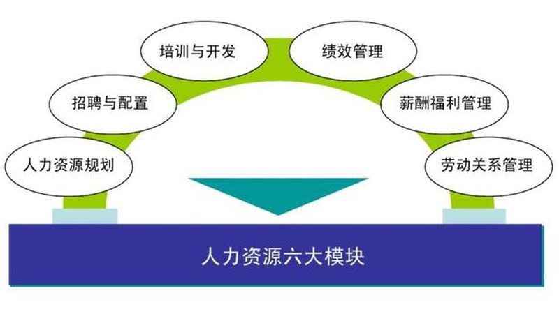 薪酬外包系统：揭秘其核心参数与选型要点